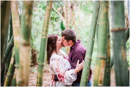 McKee Botanical Garden engagement session