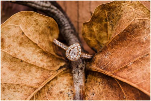 engagement ring on leaf t Melbourne engagement photography session