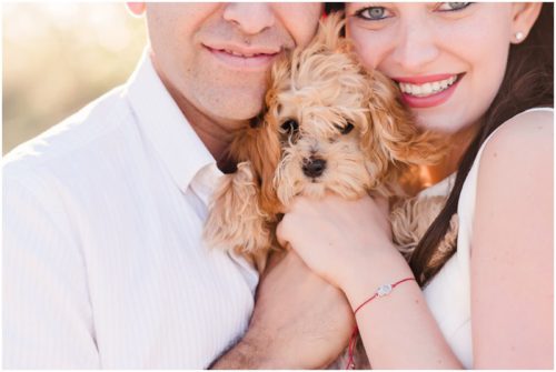 super sweet fluffy dog during south Florida engagement