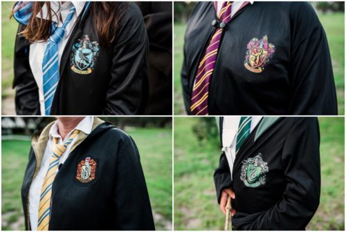 Fun Family Portraits Family view of each house on the robes