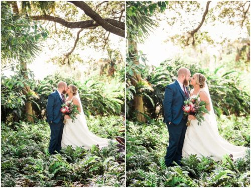 Bride and groom in ferns at Up the Creek Farms Wedding