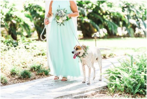 Maid of honor walking with the dog ring bearer during beautiful Up the Creek Farms Wedding