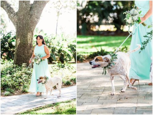 Maid of honor walking with the dog ring bearer during beautiful Up the Creek Farms Wedding