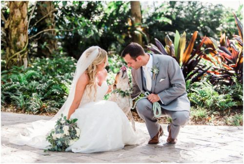 Bride and groom with dog during beautiful Up the Creek Farms Wedding
