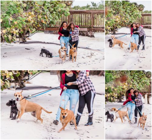 Walking along shore with the dogs during Florida proposal