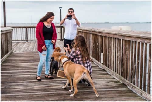 Asking her to marry her on one knee during Florida proposal