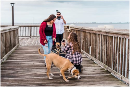 Asking her to marry her on one knee during Florida proposal