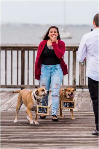 surprise during Florida proposal