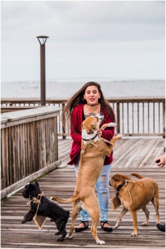 Dogs jumping during Florida proposal