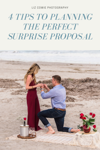 4 tips to planning the perfect proposal with a proposal photographer