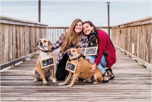 Dogs with signs with same sex couple Melbourne Proposal Photographer