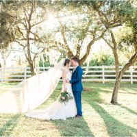 Couple under oak trees with long veil at Up the Creek Farms Melbourne Wedding Photographer