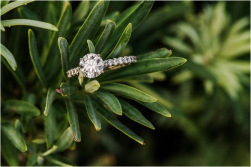 engagement ring during Up the Creek Farms Engagement photography