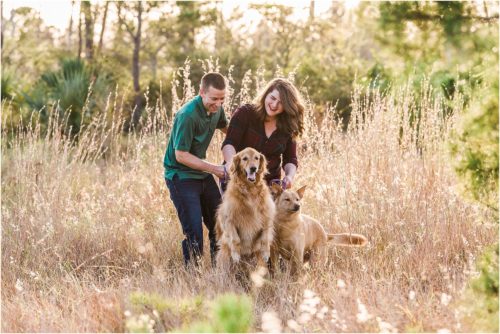 Dogs jumping in field Melbourne Florida Family Photography