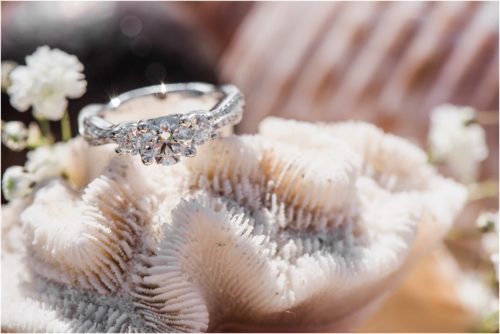 engagement ring on coral during a Florida Beach Proposal