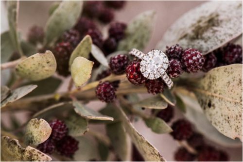 engagement ring on plant during Floridana Beach engagement