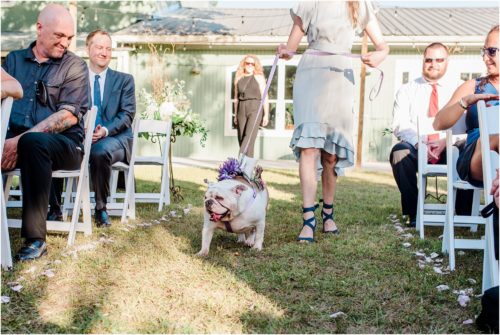 Dog coming down the isle with the rings at Banyan Estate Wedding