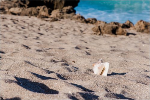 engagement ring on conch shell on beach House of Refuge Engagement session