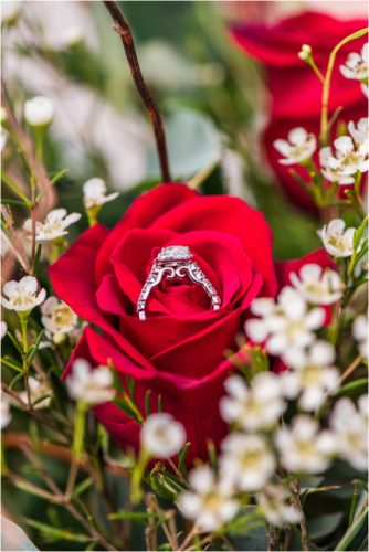 engagement ring setting in red roseSurprise Proposal