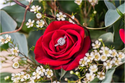 engagement ring sitting in red roses after Surprise Proposal