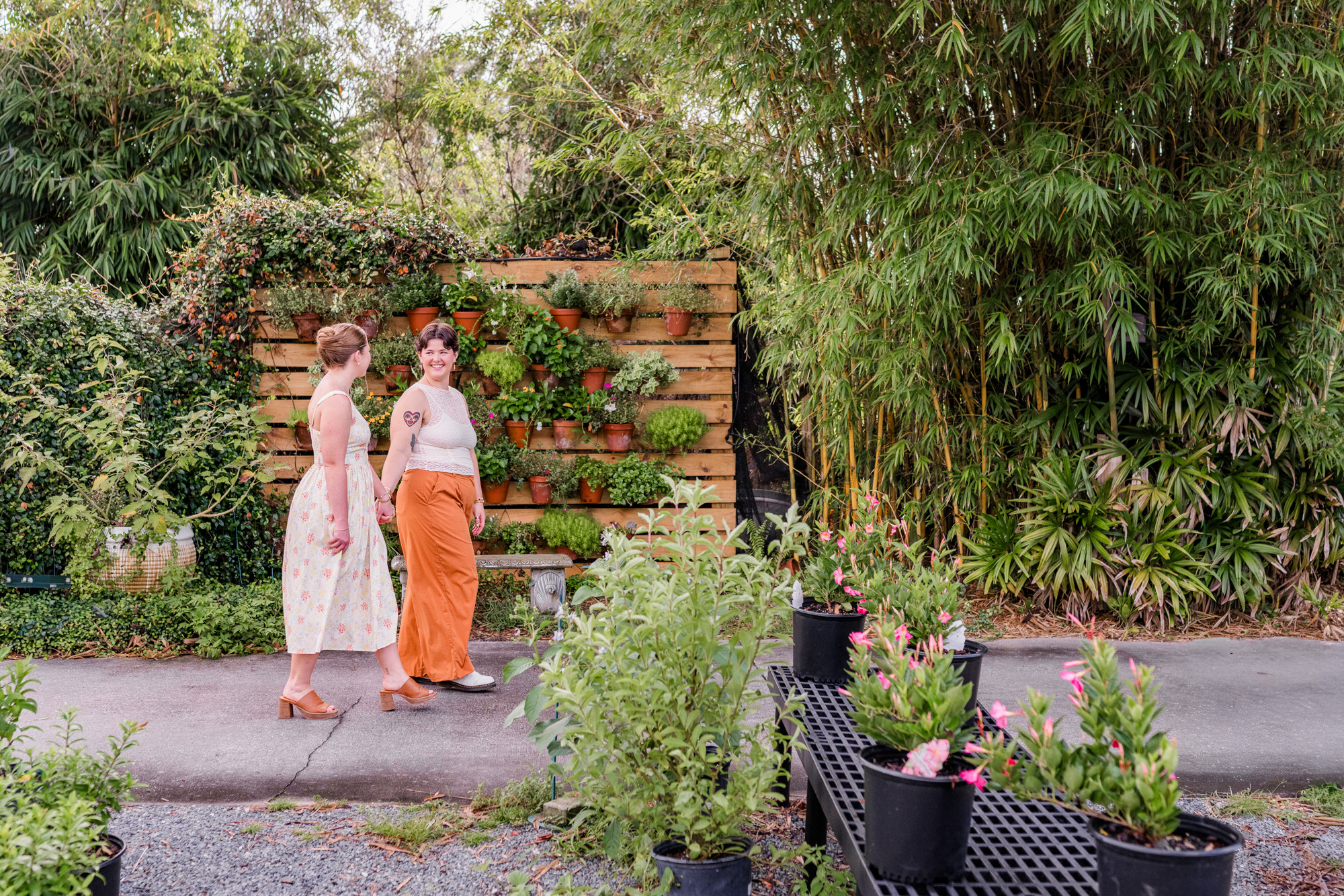 couple holding hands and walking in front of plant wall at Rockledge gardens