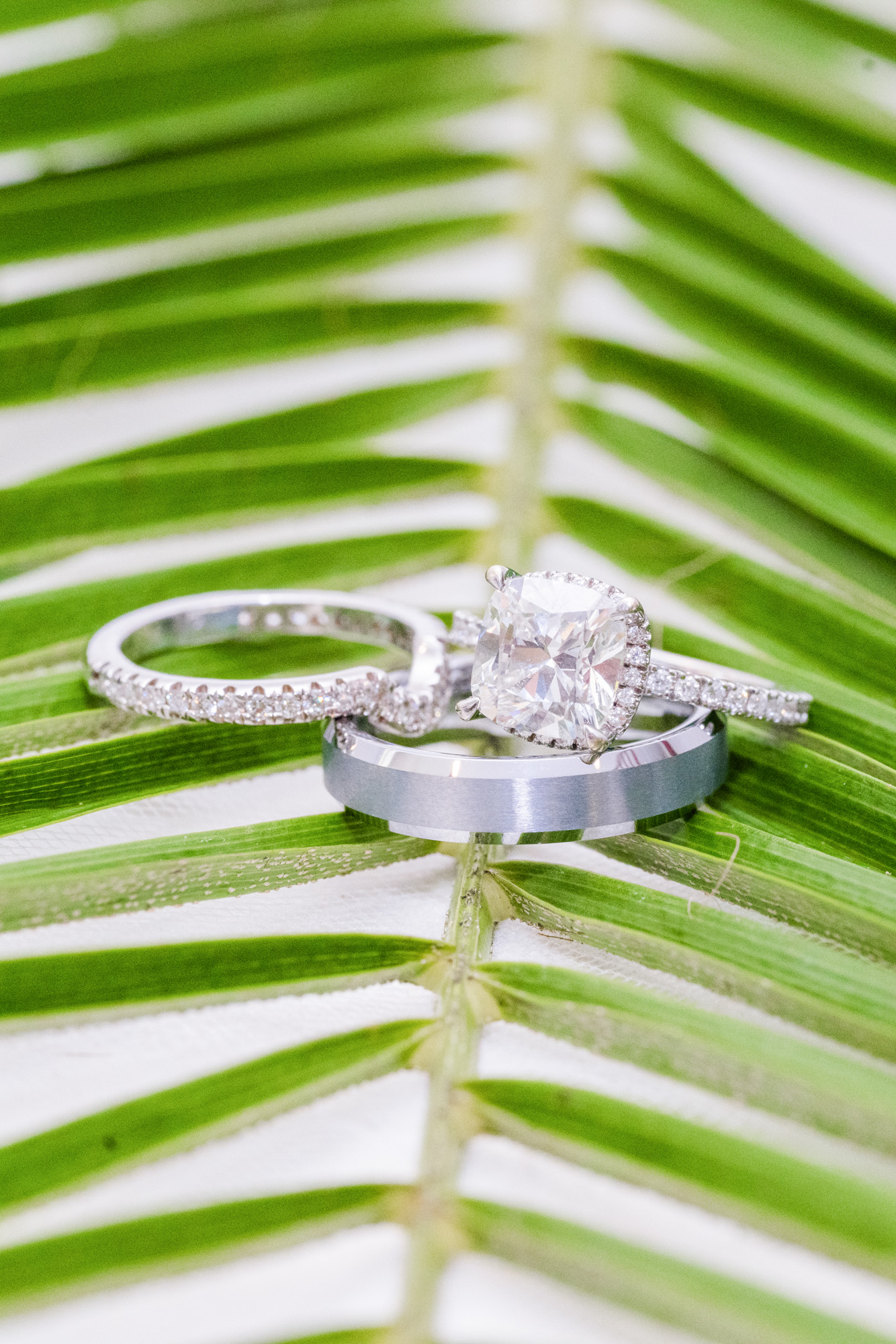 wedding rings on a palm leaf at a Harbour House wedding