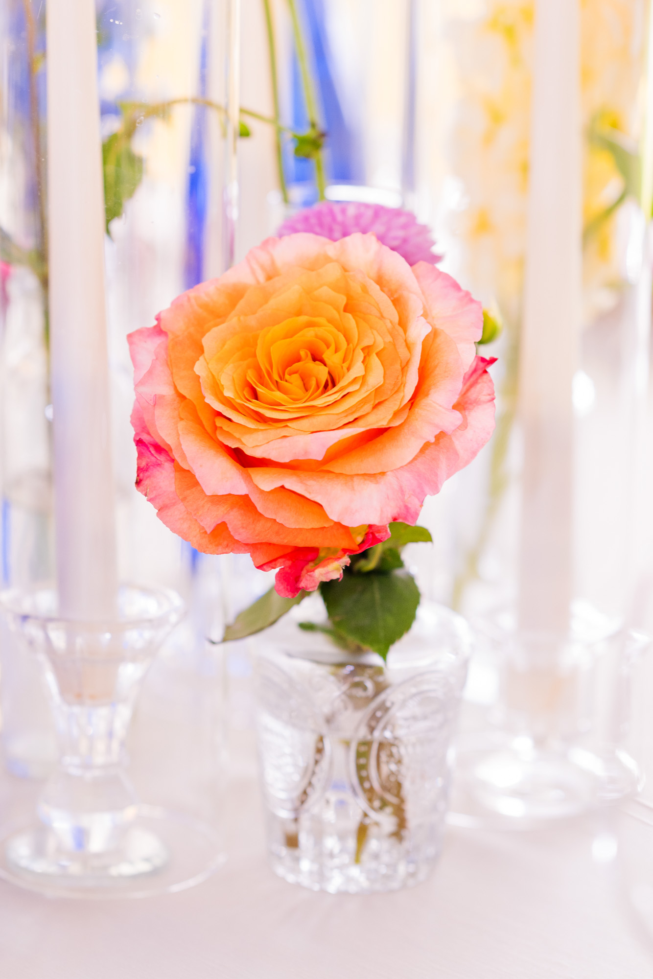 peach rose on reception table