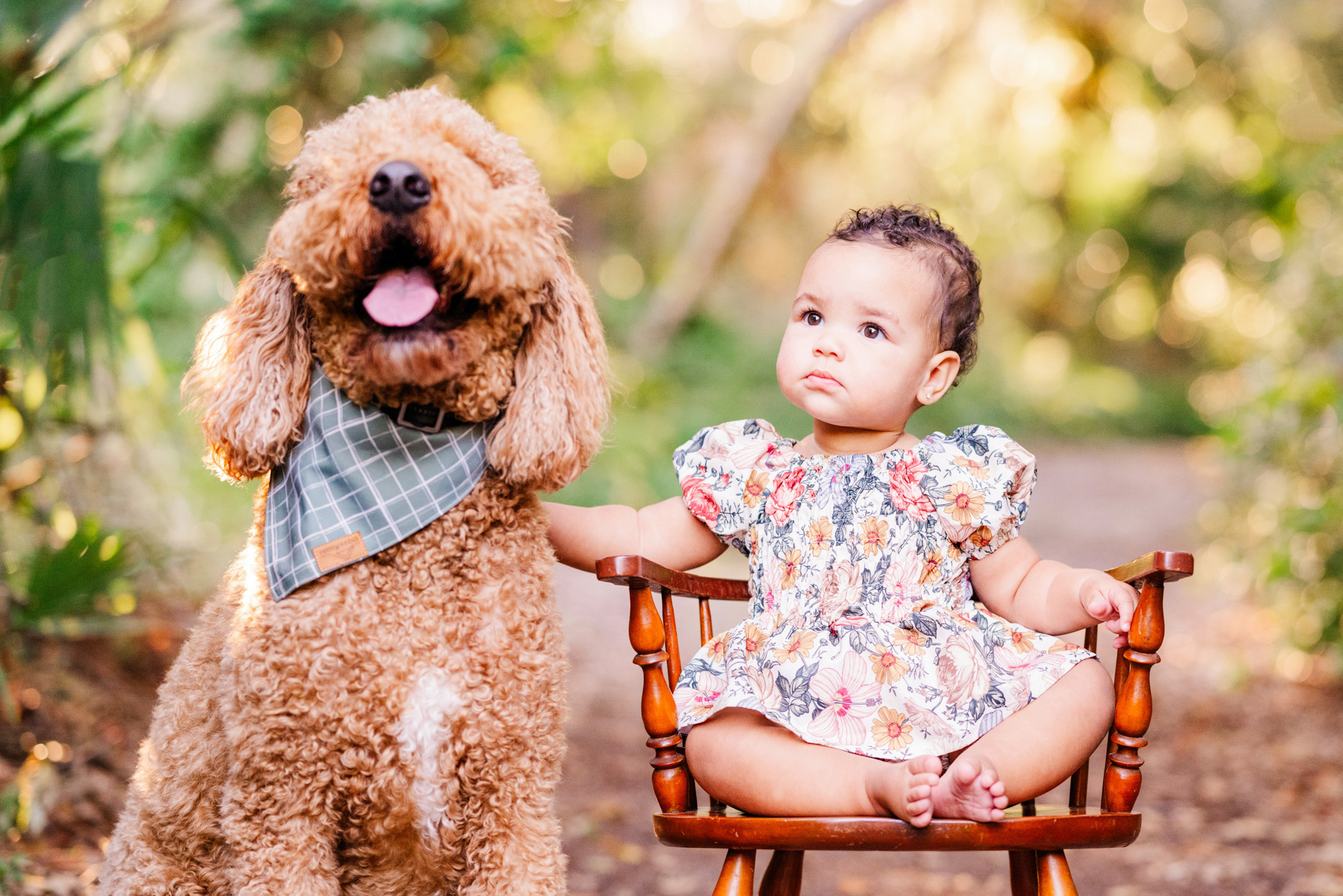 Baby looking toward the family dog while they sit together outdoors.