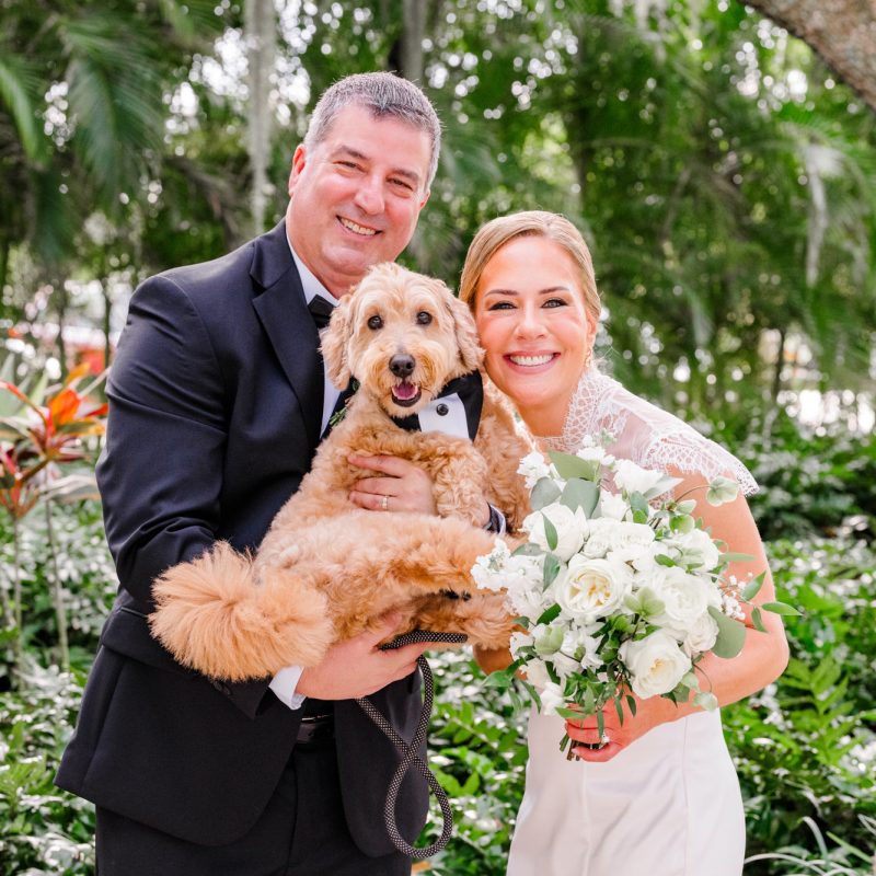 bride and groom with fluffy dog at Up the Creek Farms