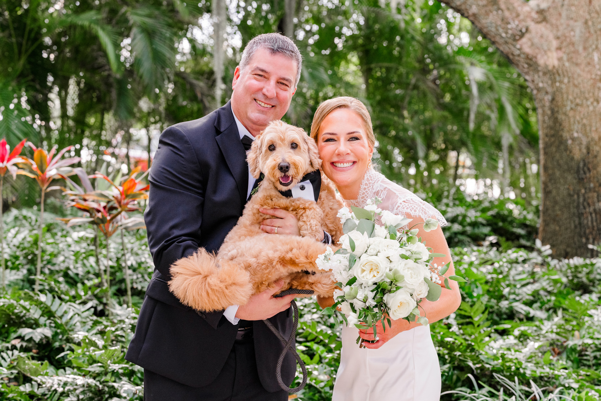 bride and groom with fluffy dog at Up the Creek Farms