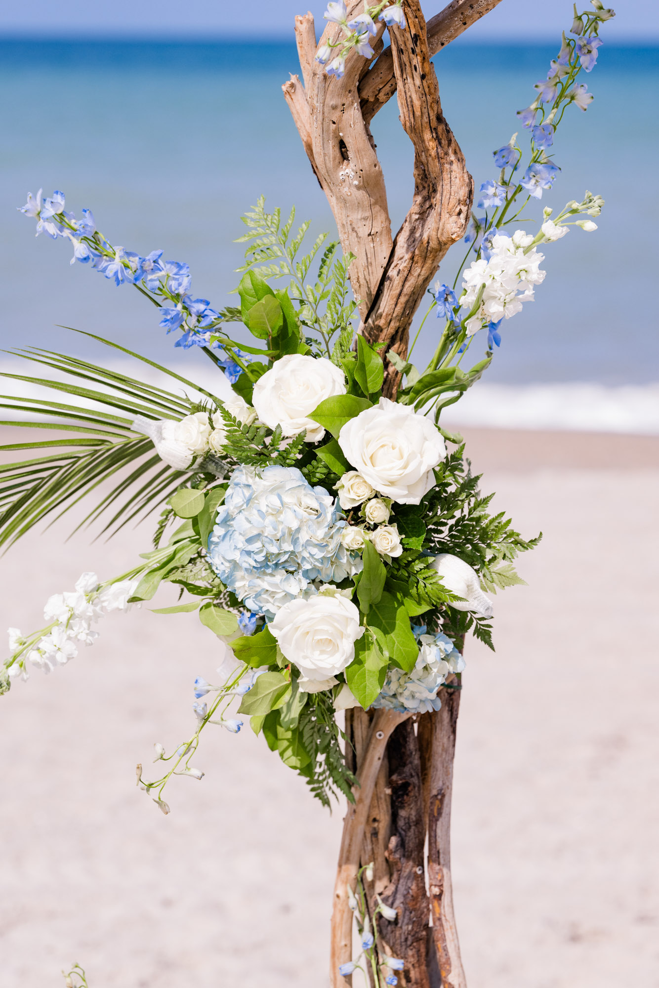 Close-up of white roses, blue hydrangeas, and delicate blue flowers decorating a rustic driftwood beach wedding arch.