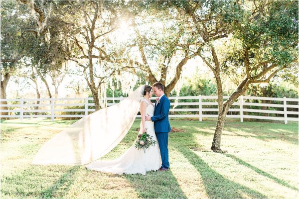 Couple under oak trees with long veil at Up the Creek Farms Melbourne Wedding Photographer